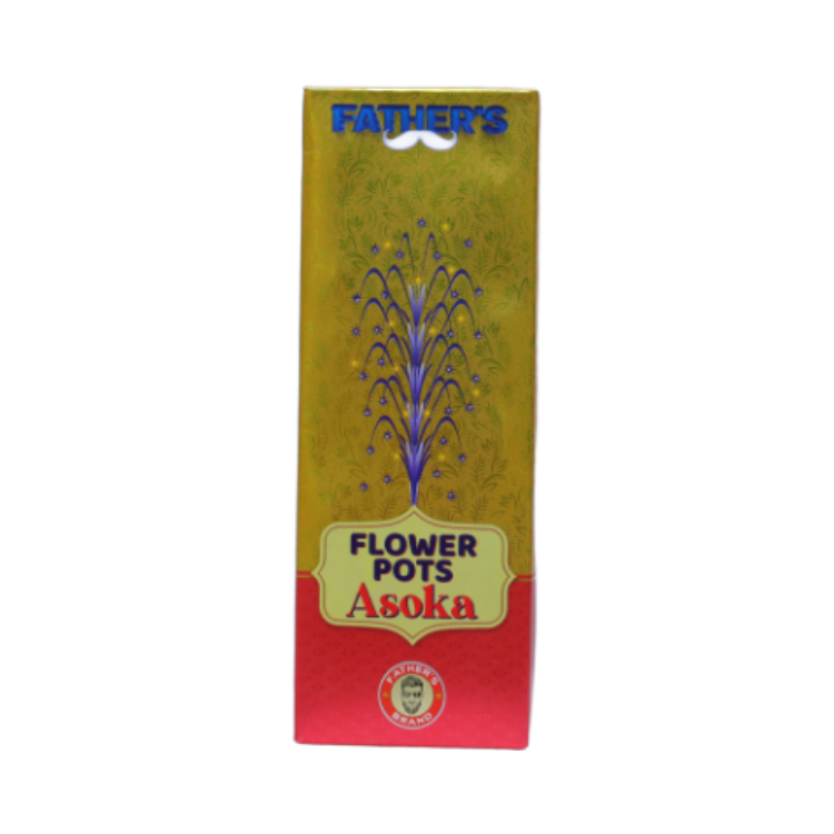 Flower Pots Asoka